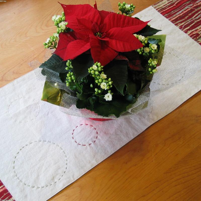 Cotton Table Runner — Terracotta Stripe